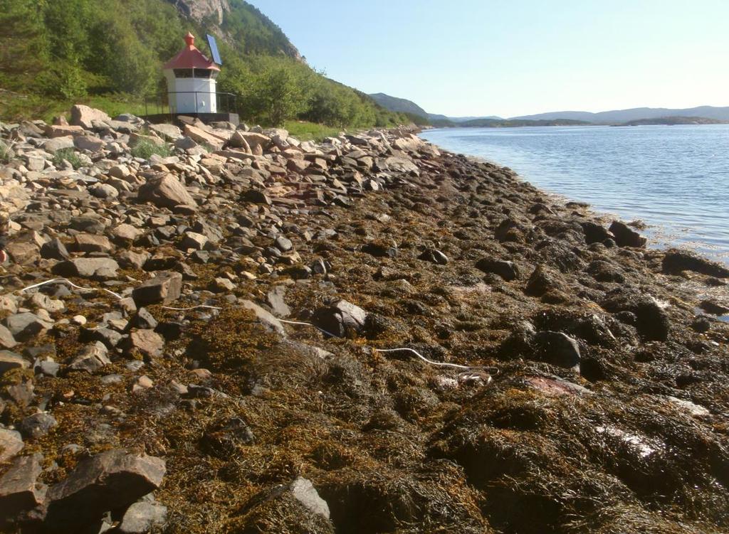 Stasjonenes fysiske forhold ble beskrevet etter feltskjema fra Veileder 02:2013 og semikvantitativ fjæresonekartlegging ble deretter gjennomført ved lavvann på samtlige stasjoner.