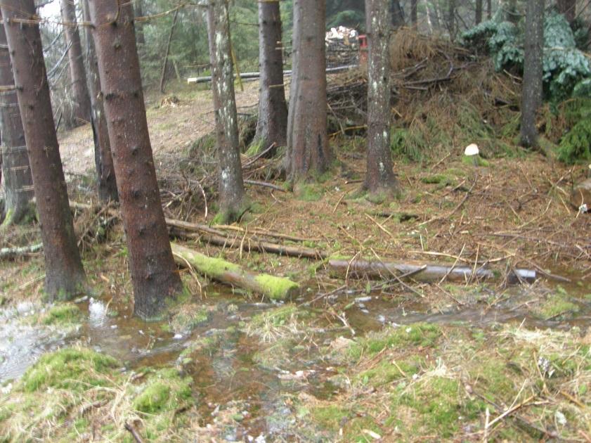 landbruksjord Økt utvasking av