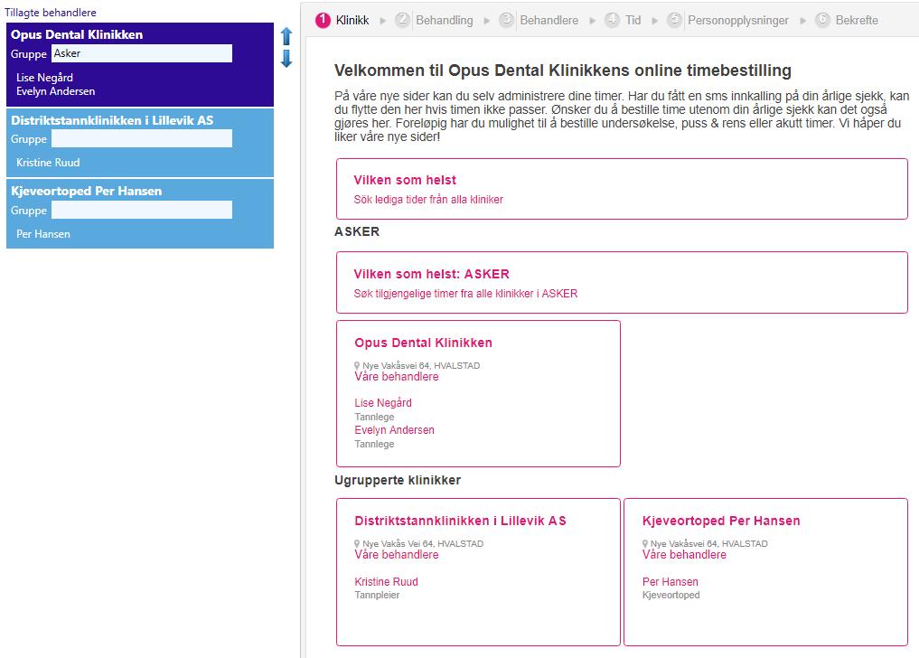 Grupper Om man ønsker å gruppere klinikkene kan man gjøre det i feltet Gruppe Grupperer man bare noen klinikker vil de øvrige vises under