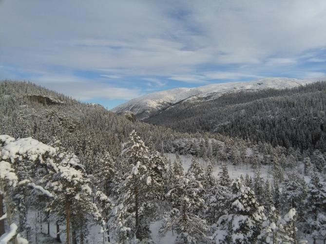 Råbesdalen naturreservat, utvidelse, Høylandet kommune Råbesdalen er en dyp, skarp, lang V-dal, i form av bekkekløft, som går over i en åpen fjelldal.