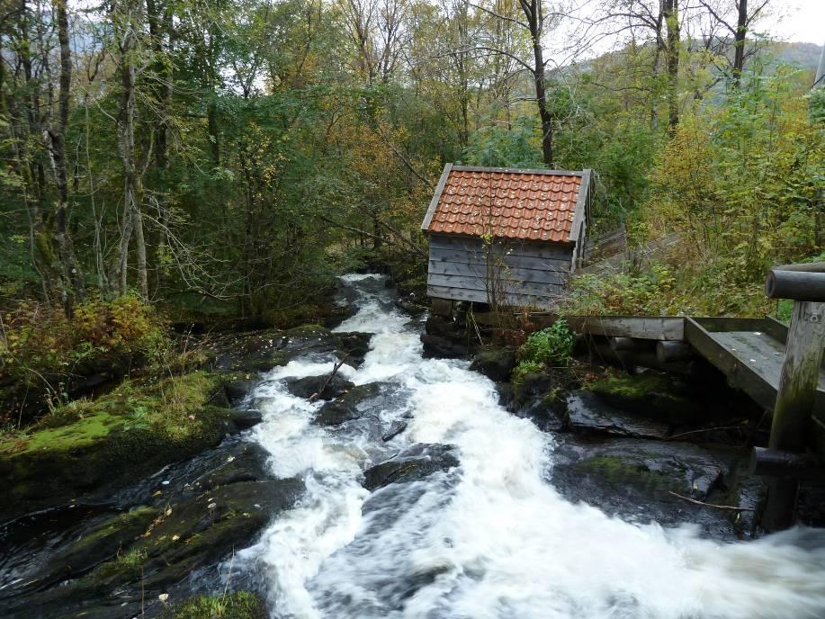 Myklebostelva, Hyllestad kommune R A P P O R Ålen sine