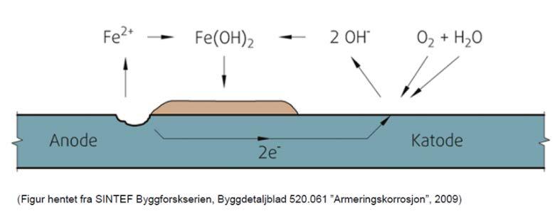 Rustdannelsen skjer ved en elektrokjemisk prosess med anode og katode. Hvor det ved anoden skjer en oksidasjon som frigjør elektroner, og Fe2+ (oppløst jern, ioner) oppstår.