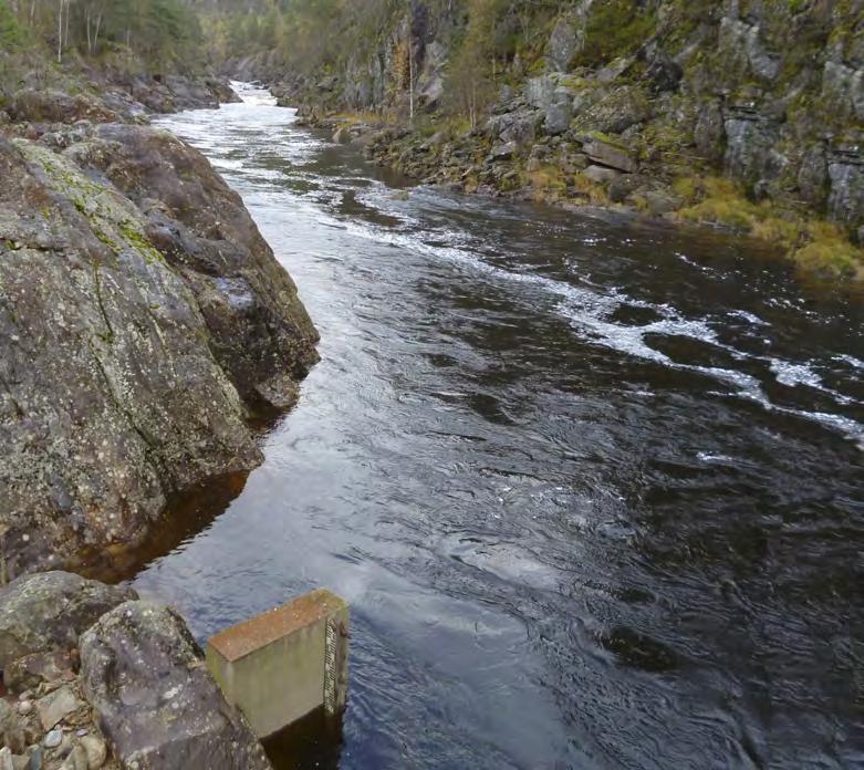 Flomberegninger for Fedaelva, Kvinesdal kommune,