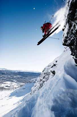 Fra Innovasjon Norge har skimakeren mottatt etablerertilskudd og utviklings- og investeringtilskudd, samt at det er blitt tildelt midler fra Skattefunn.