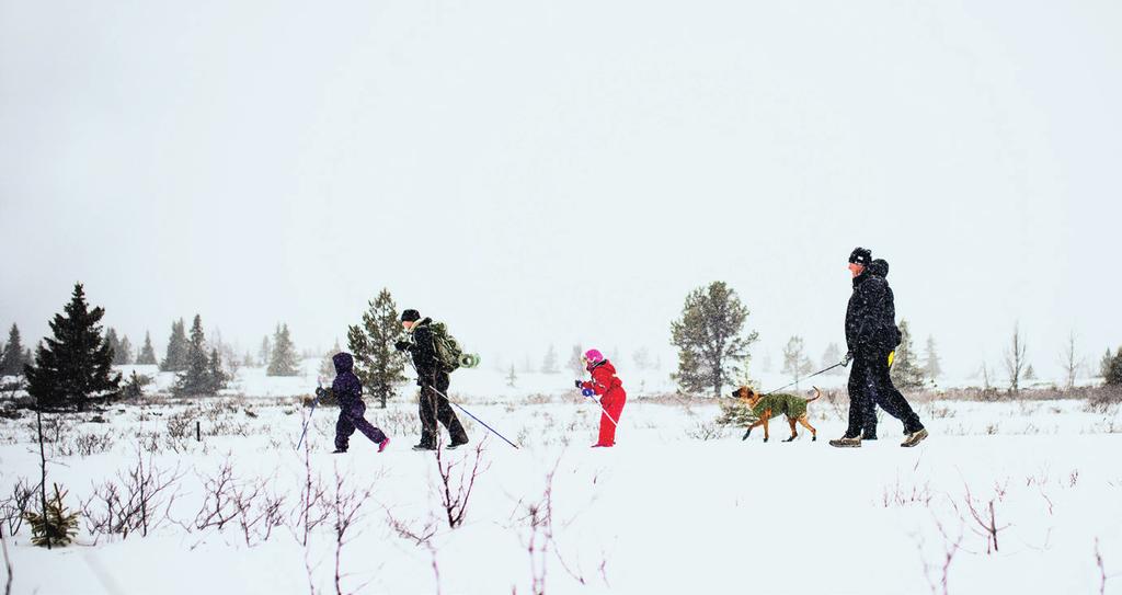 BARNAS TURVINTER Villmarksriket Bli med Barnas Turlag på eventyr i Femundsmarka. Mektig, vilt og spennende! Av Jasemin Folvik Adem TIPS TIL TURER MED BARN I VINTERFJELLET BYTT PÅ ROLLENE!