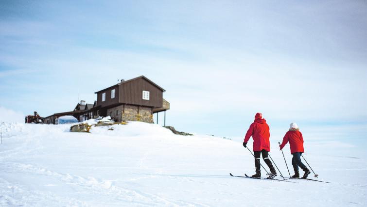 TIDLIGE KVISTERUTER Allerede fra uke har DNT Oslo og Omegn kvistet ruter i Langsua og Alvdal Vestfjell.