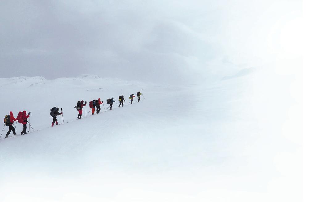 FOTO: KJELL JONSSON Veiviserne i vinterfjellet Stiv kuling og snøstorm den perfekte oppskrift på en vinterturleder.