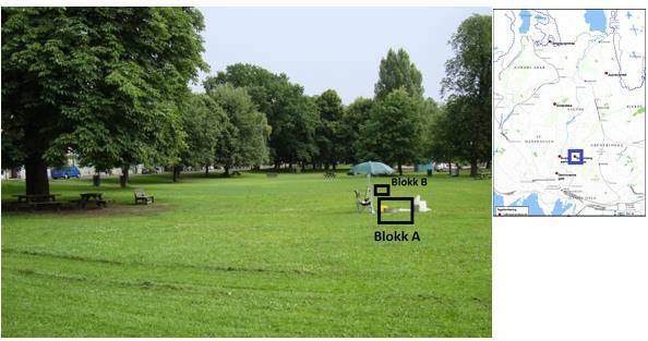 Vedlegg K Resultater fra Sofienbergparken K.1 Beskrivelse av lokalitet Forsøksfeltet i Sofienbergparken er vist i Figur K.1.1. Figur K.1. 1: Forsøksfeltet i Sofienbergparken med blokk A og blokk B inntegnet.