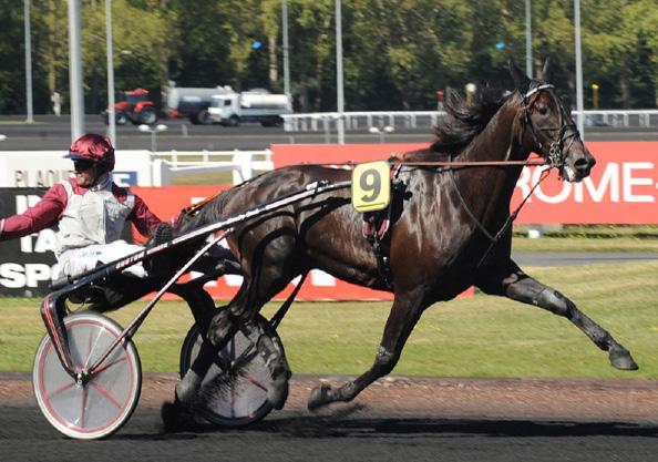 READY CASH VAR EN GAN- SKE HISSIG HEST I BANEN MEN DET HINDRET HAM IKKE I Å BLI EN AV TIDENES BESTE TRAVHESTER Duvaldestin startet med en full veterinærsjekk som avdekket et lite ryggproblem og Ready