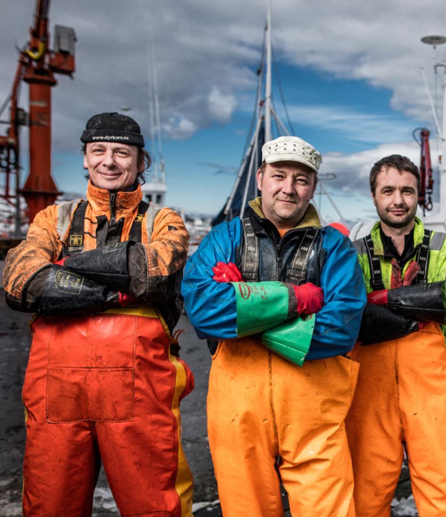 Bakgrunn for satsingen. Norwegian Fish Company ynskjer å ta vera med på den utviklinga som skjer i norsk og internasjonal fiskerinæring.