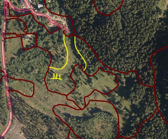 4.6.4. Eksempel 2 Lage ny flate og Danne flate på nytt Et innmarksbeite er blitt utvidet, og du skal oppdatere AR5.