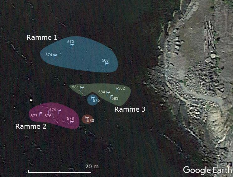 Miljøteknisk undersøkelse 5 av 10 Under prøvetaking av prøve 575 på stasjon Ramme 1 hadde vi drevet et godt stykke fra der båten ble posisjonert til grabbprøven ble innhentet.