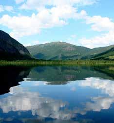 AKTIVITETER ACTIVITIES NYHET MOUNTAIN CART Mountain Cart er en ny, morsom, spennende og trygg aktivitet for de som ønsker å oppleve noe annerledes på fjellet med familie og venner.