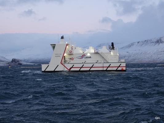 Lite sykdommer og sterk offentlig sykdomsforebygging (MAST) Island har lang fiskeritradisjon