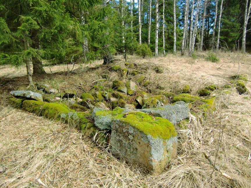 Tufta på Røskestad etter fjerning av vegetasjon Deretter måler vi tuftas utvendige dimensjoner, dimensjonene til et eventuellt kjellerhull, og lager ei grov skisse av stedet, korrekt orientert i