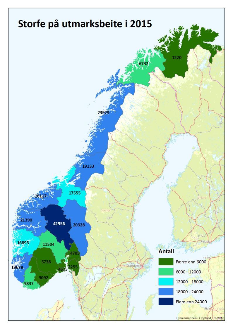 forskjeller