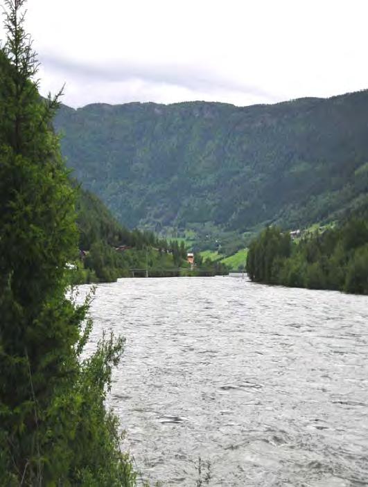 6.4.4.3 Omfangs- og konsekvensanalyse, Vinstra - Tårud Lokalitet nr 1: Lågen med øyer og flommarker. Figur 78 Gudbrandsdalslågen (foto: Siri Guldseth 2008).