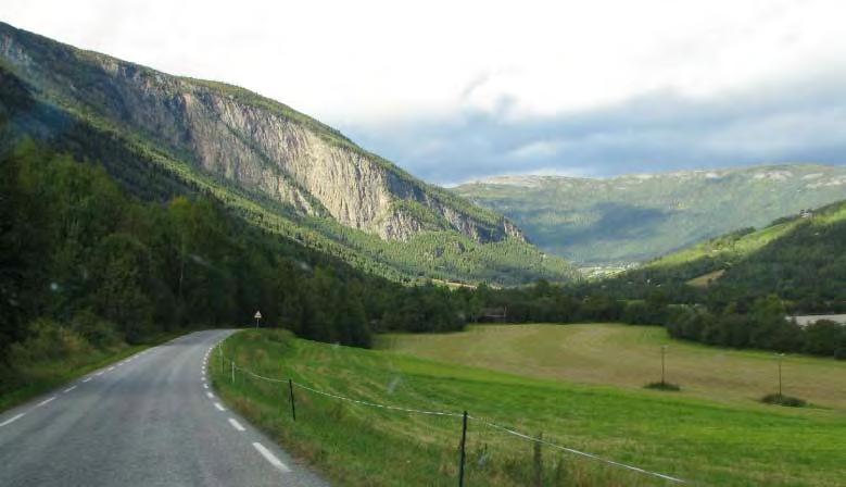 Berikende landskapselementer: Berikende landskapselementer er naturlige eller menneskeskapte, som for eksempel vakre gårdstun, enkeltobjekter, solitære trær eller gravhauger.