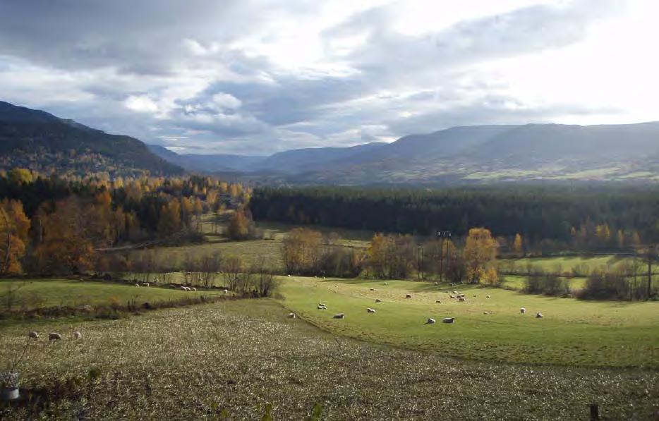 Delområde 3 - Lomoen (Framtidig vegkryss Vinstra) Tårud Landskapsområdet er preget av et åpent åkerlandskap med spredt bebyggelse (Figur 58).