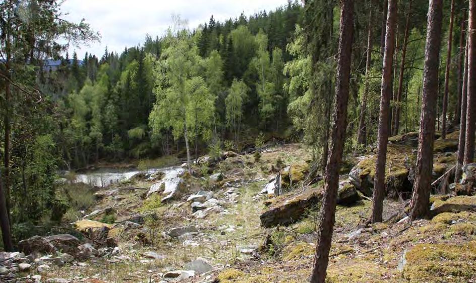 Figur 62 Bratte steinurer og furuskog i området rundt Øla Den spredte bebyggelse i nærheten av lokalvegen ligger som et smalt belte langsmed Lågen.