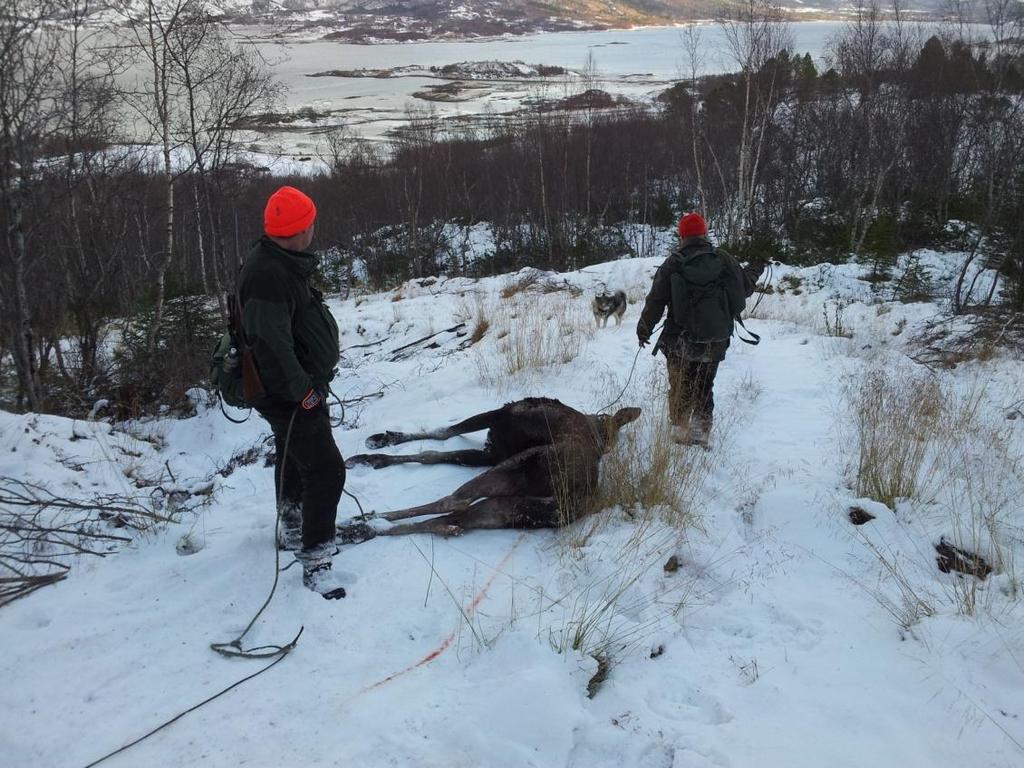 25.1.2013 Besøksadresse: Rådhuset Leinesfjord Telefon: