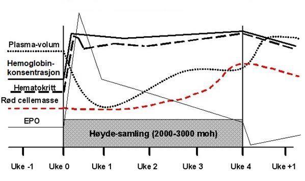 Hematokritt sier noe om hvor stor prosentdel av blodvolumet som er røde boldceller. Økt hematokritt ved fysisk aktivitet er et resultat av mobilisering av erytrocytter (Sand et al., 2014, s. 447).