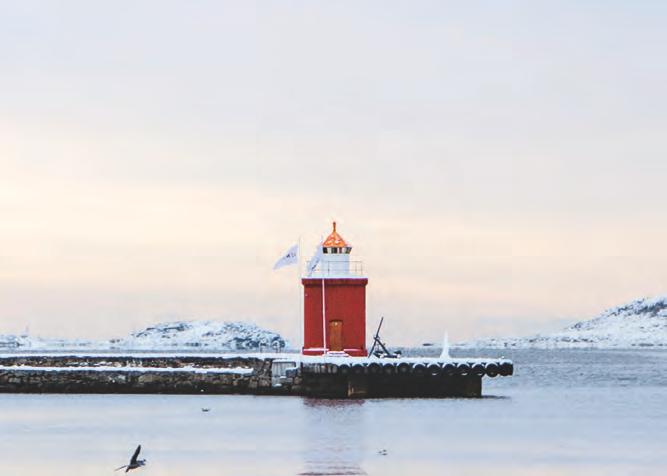 Styrets beretning / STYRING OG KONTROLL I VIRKSOMHETEN 4.1 Det legges vekt på likestilling ved rekruttering og avlønning av ledere og medarbeidere.