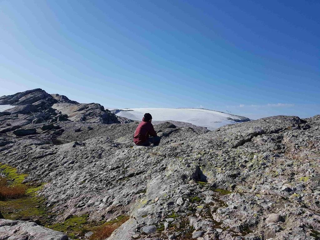 Årsmelding Ålfotbreen landskapsvernområde 2017