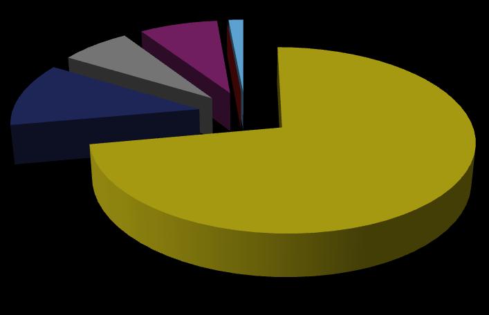 Einebustad 72% Tomannsbustad 11,6% Rekkehus 7% Bustadblokk 7,8% Bufellesskap 0% Andre byggetypar 1,5% Figur 4.