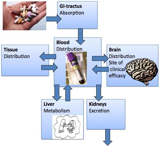 Farmakokinetikk - utstrakt