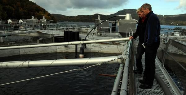 FISTER SMOLT AS Settefiskanlegget på Fister (regnr R/HM 0004, lokalitetsnummer 10581 Fister) har hatt konsesjon siden 9. juni 1976.