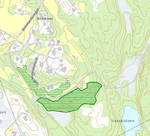 Området består av overflatedyrka jord, innmarksbeite, skog av særs høg og høg bonitet.