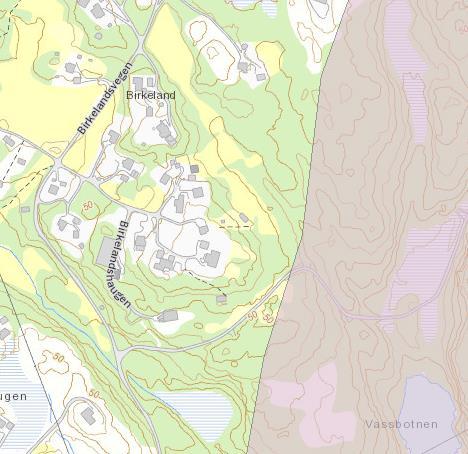 truga). Sør og vest for planområdet er det to registreringar av Rik edellauvskog som er av regional viktig og lokal viktig verdi.