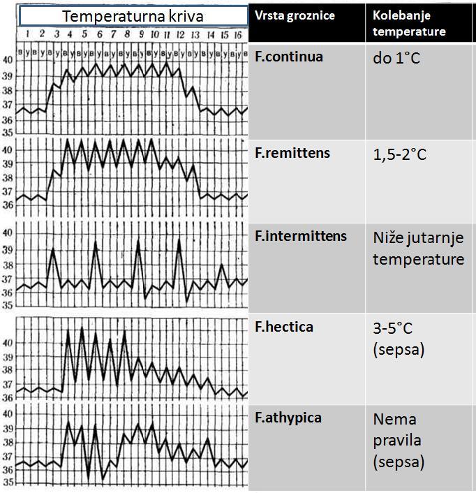 Metaboliĉka adaptacija krava u toplotnom stresu Kod krava u toplotnom stesu raste telesna temperature, a dolazi do znaĉajnog opadanja konzumiranja hrane.