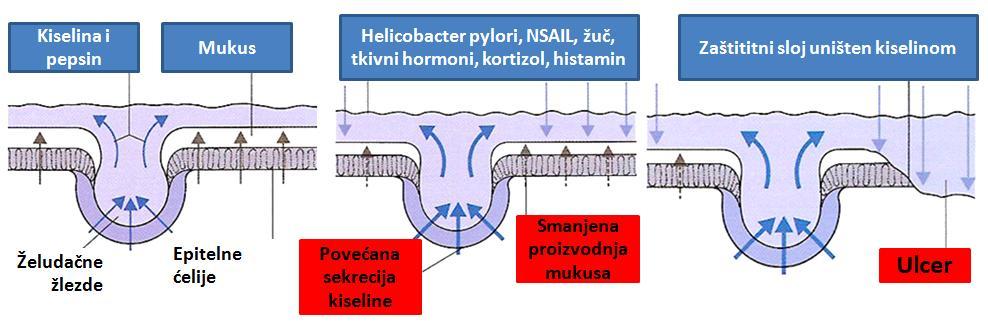 Slika 115.