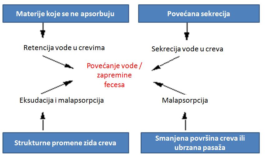 Osmotske dijareje nastaju kada se u lumenu creva nagomila veliki broj molekula koji su osmotksi aktivni i koji se teško resorbuju, pa dolazi do sakupljanja teĉnosti iz krvotoka u lumen creva, kad