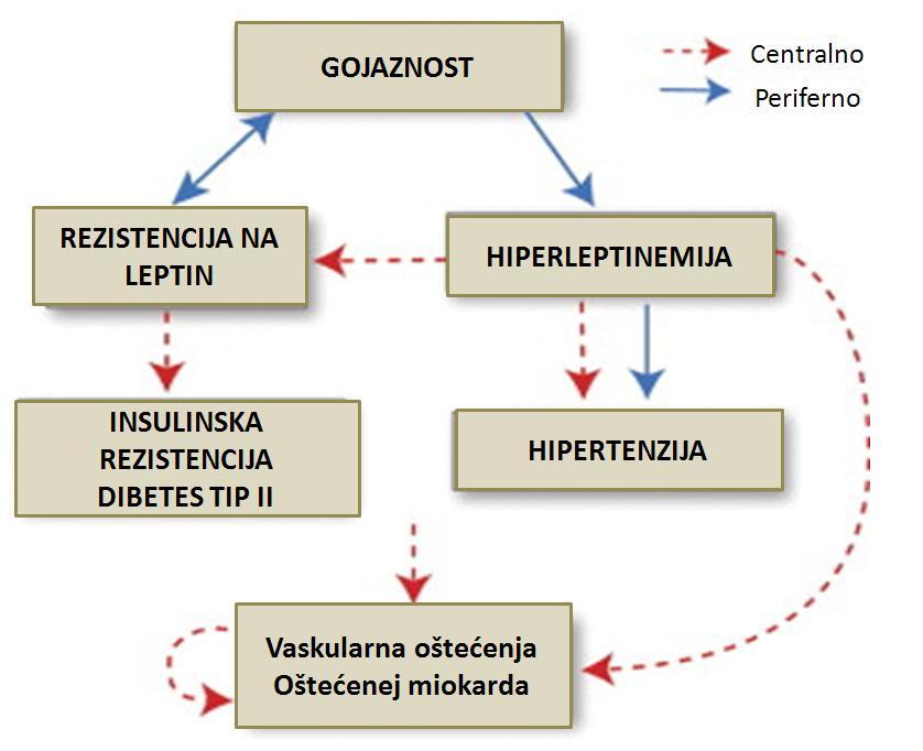 Slika 33. Patofiziologija gojaznosti Slika 34.