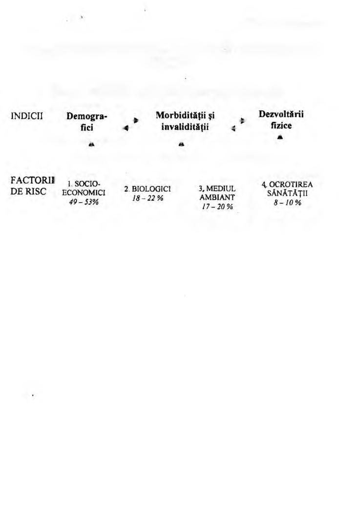 Structura logică