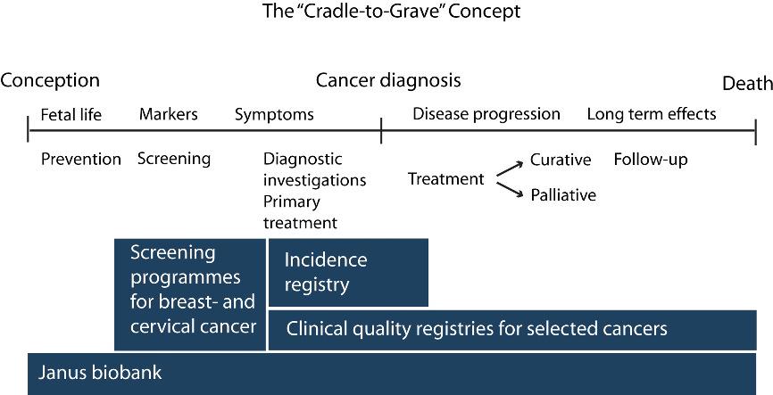 Vugge til grav-konseptet viser Kreftregisterets funksjonsområde, et continuum fra konsepsjon, via fosterliv