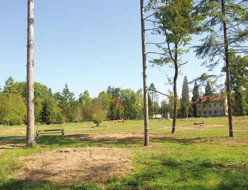 AKTUALNI DOGODKI V OBČINI REVITALIZACIJA RADENSKEGA PARKA prva faza Radenski park oz. Zdraviliški park v Radencih je zasnovala vrtna arhitektka Ilse Fischerauer.