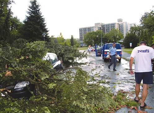 V ohranjenih ureditvah in vrtnih motivih je mogoče prepoznati vrtno oblikovni slog, soroden sočasnim ureditvam na Dunaju.