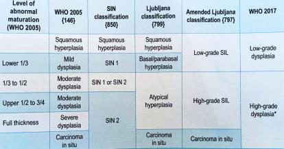 Dysplasi 2.