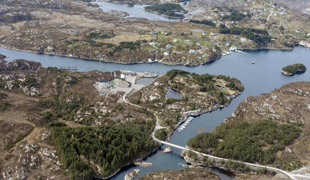 2. Skildring av dagens bruk av planområdet Planområdet er hovudsakleg nordre del av Ulvøy (figur 9) som i dag består av næring i vest og nord, småbåthamn i øst, samt urørt natur som er