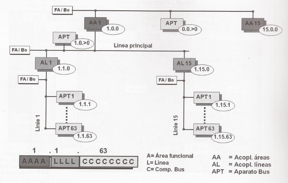 MEMORIA 30/155 L = 1-15 L = 0 A-n definitutako areako lineak seinalatzen ditu linea nagusia seinalatzen du C = 1-255 L-n definitutako lineako bus elementuak definitzen ditu C = 0 area edo lineako