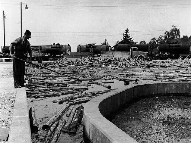 Entrindungsanlage, hier Wässerungsbecken, 1958 Foto Privat, Repro Bund