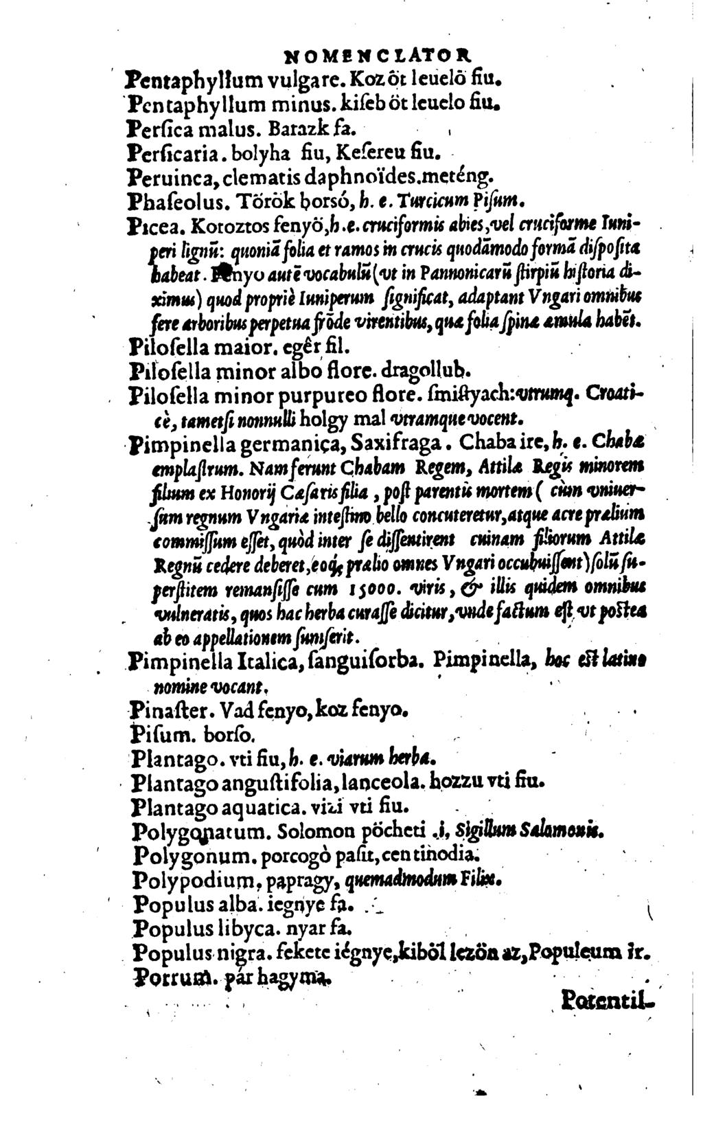 _ N о м e и c LATo n Pentaphyllum vulgare. Koz ô: Ieuelò liu. Pentaphyllum minus. kilèb б: lcuclo liu. Perlica malus. Barazk fa. y к Perûcaria. bolyha liu, Kefereu liu.