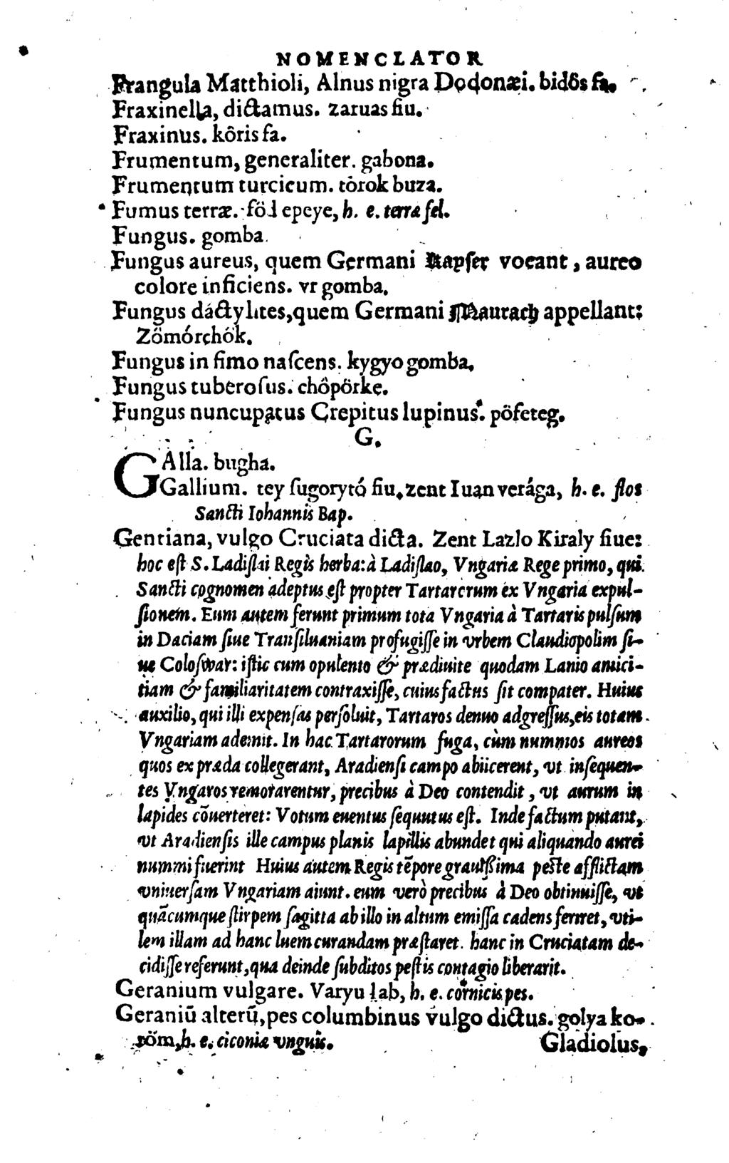 i ` NOMENCLATOR. Frangula Matthioli, Alnus nigra Dodonœi. bidôs f1. f. FraxinelLa, diâamus. zaruas liu.`. f Fraxinus. kôris fa. Prumentum, generaliter. gabona. Frumenrum turcicum. :òrok buzz.