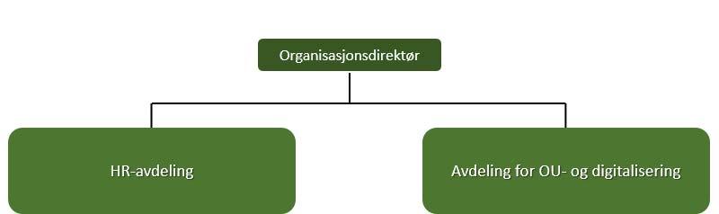 120218 1.0 Organisasjonskart Organisasjonsavdelingen vil bestå av to underavdelinger; en HR avdeling og en Avdeling for organisasjonsutvikling og digitalisering. 2.