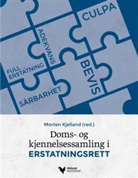 Last ned Doms- og kjennelsessamling i erstatningsrett Last ned ISBN: 9788299916097 Antall sider: 440 Format: PDF Filstørrelse:22.