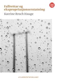Last ned Fallrettar og ekspropriasjonserstatning - Katrine Broch Hauge Last ned Forfatter: Katrine Broch Hauge ISBN: 9788215025810 Antall sider: 464 Format: PDF Filstørrelse:36.